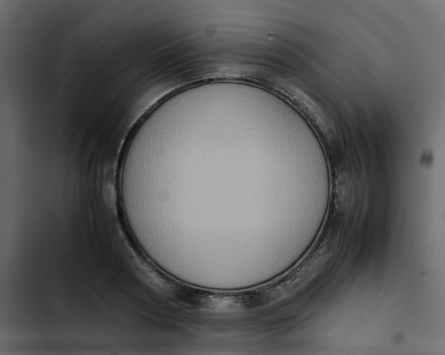 X0000102860794200809021423