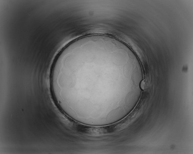 X0000102860795200809021423