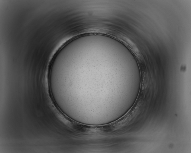 X0000102860796200809021423