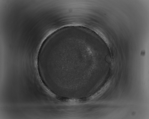 X0000102860797200809021423