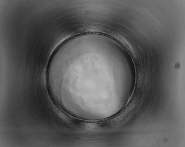 X0000102860798200809021423