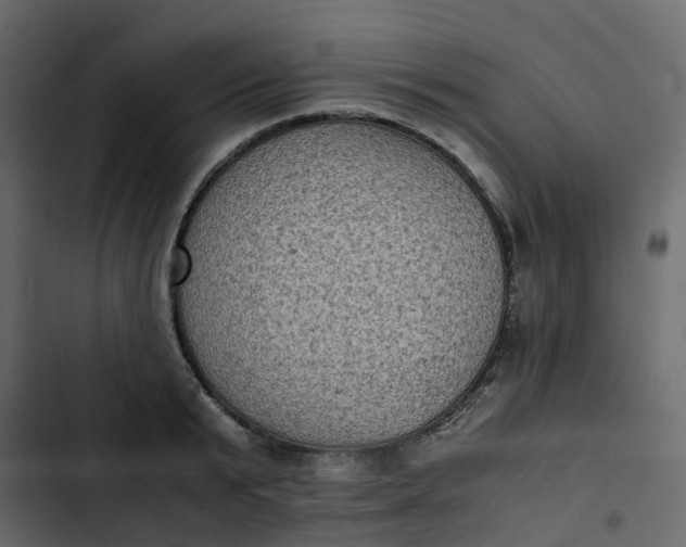 X0000102860799200809021423