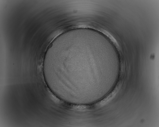 X0000102860801200809021423