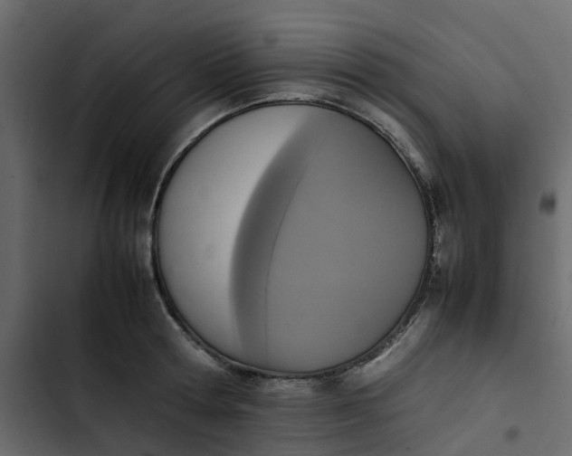 X0000102860802200809021423