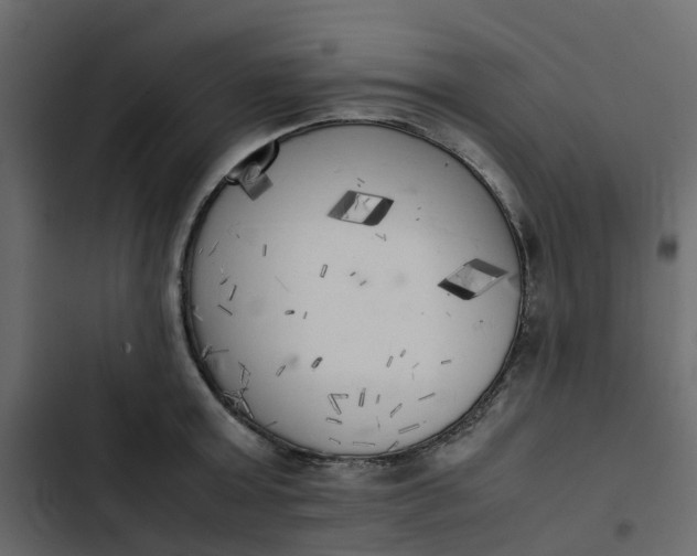 X0000102860803200809021423