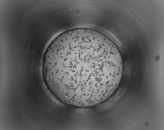 X0000102860804200809021423