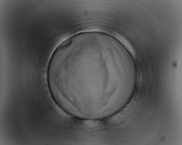 X0000102860805200809021423