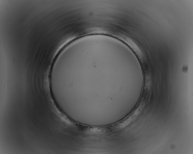 X0000102860806200809021423