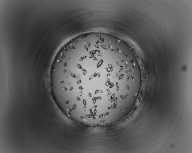 X0000102860808200809021423