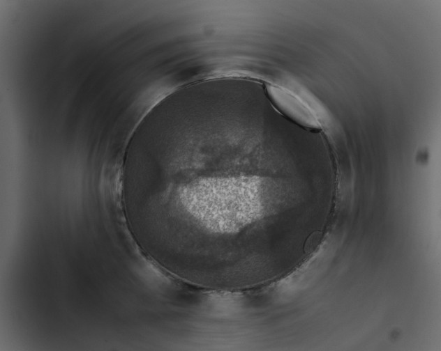 X0000102860809200809021423