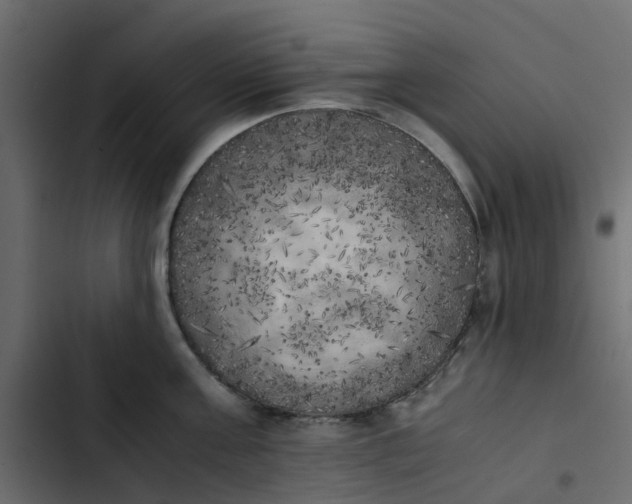 X0000102860811200809021423