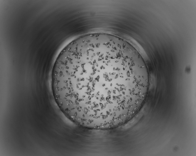 X0000102860812200809021423