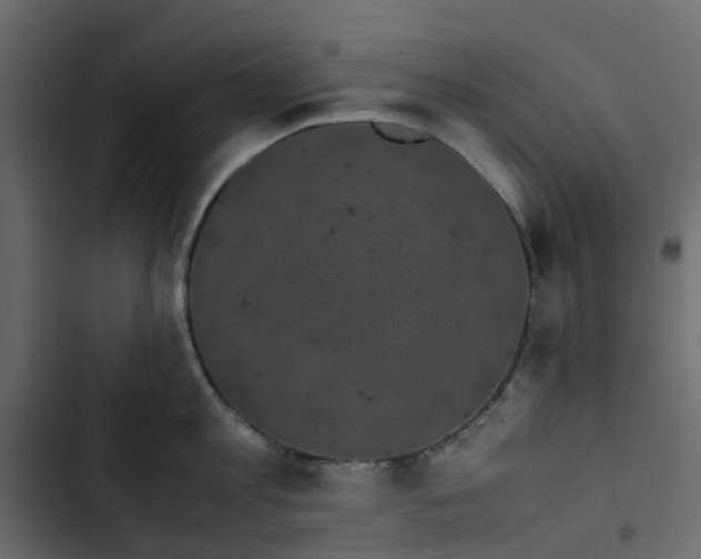 X0000102860813200809021423