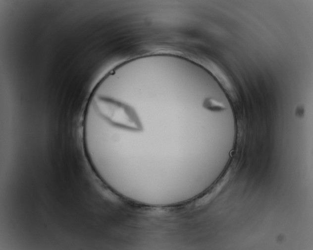 X0000102860814200809021423