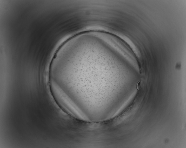 X0000102860815200809021423