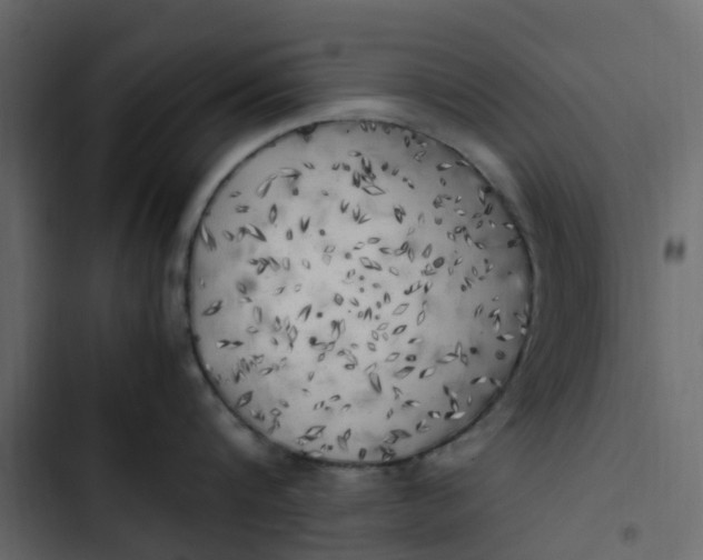 X0000102860816200809021423