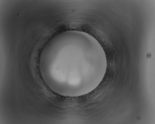 X0000102860817200809021422