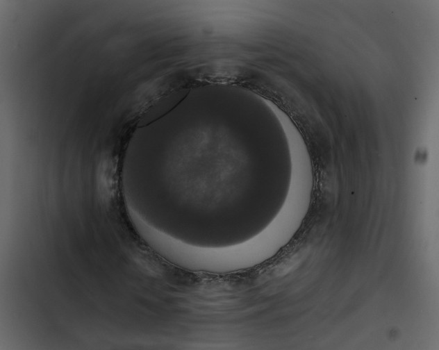 X0000102860818200809021422