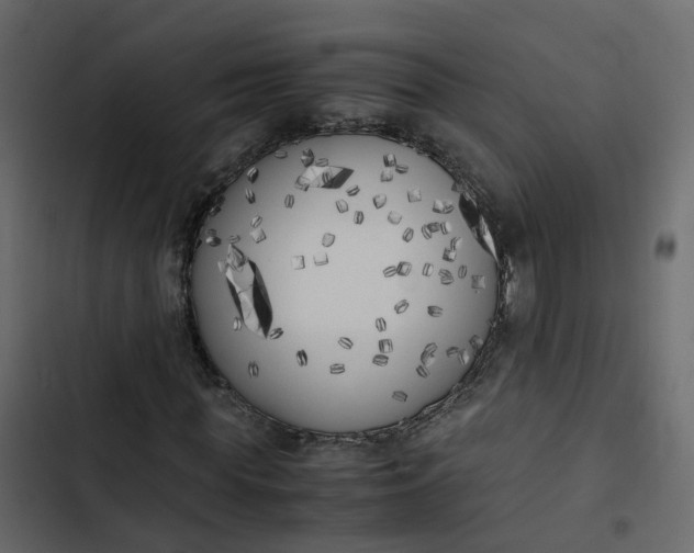 X0000102860819200809021422