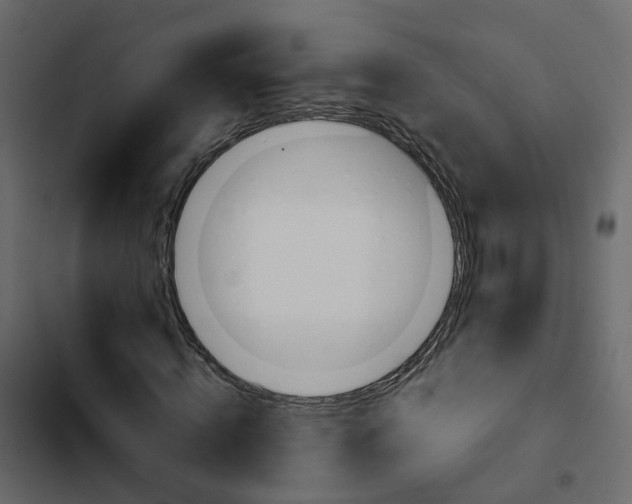 X0000102860820200809021422