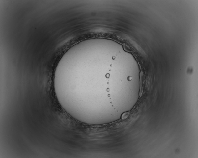 X0000102860821200809021422