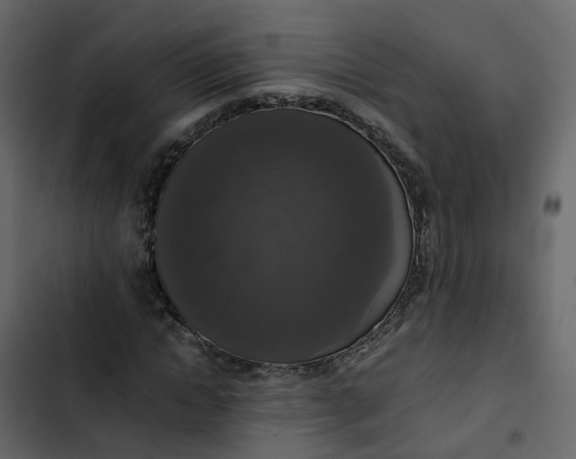 X0000102860822200809021422