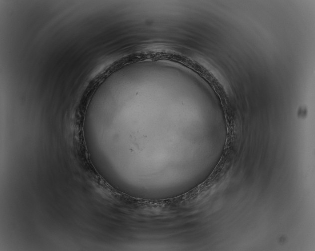 X0000102860823200809021422