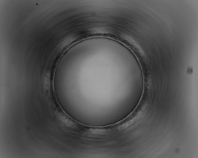 X0000102860825200809021422