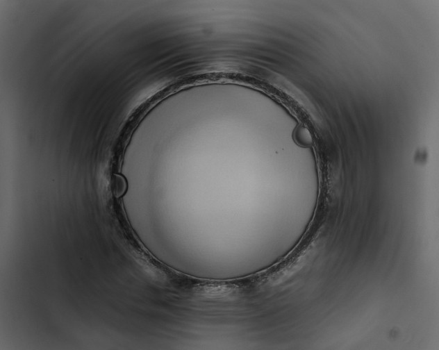 X0000102860826200809021422