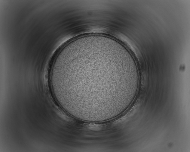 X0000102860827200809021422