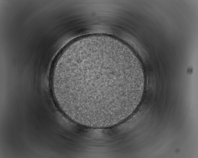 X0000102860828200809021422