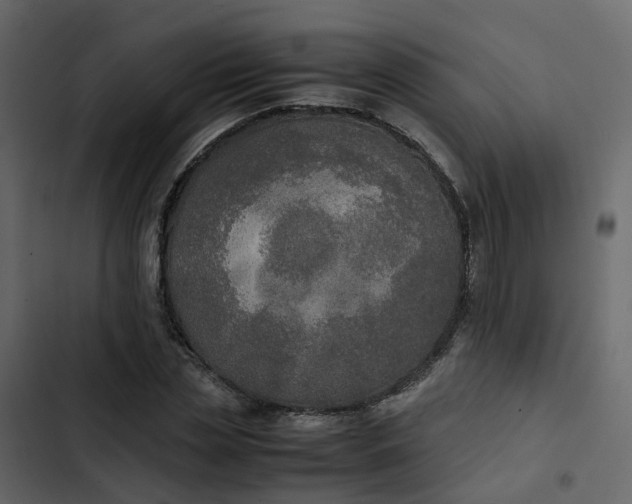 X0000102860829200809021422