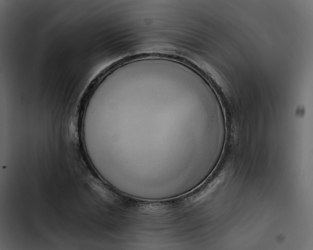 X0000102860830200809021422