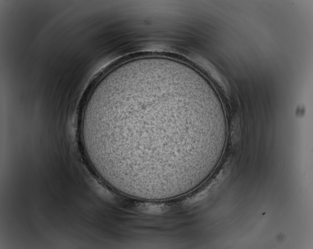 X0000102860831200809021422