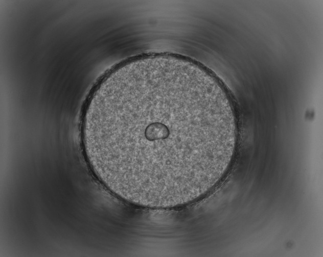 X0000102860832200809021422