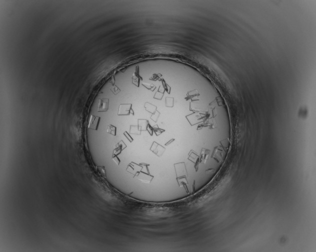 X0000102860833200809021422