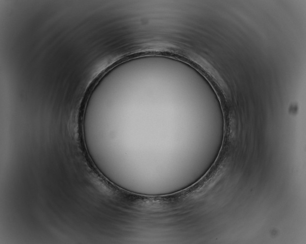 X0000102860834200809021422