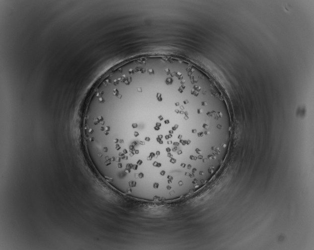 X0000102860835200809021422