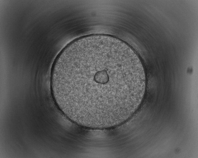 X0000102860836200809021422