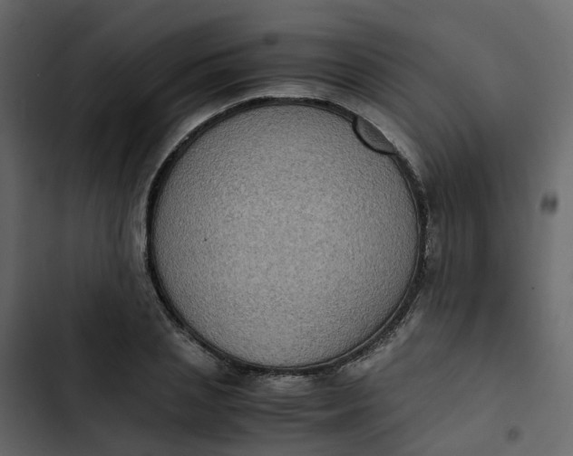 X0000102860837200809021422