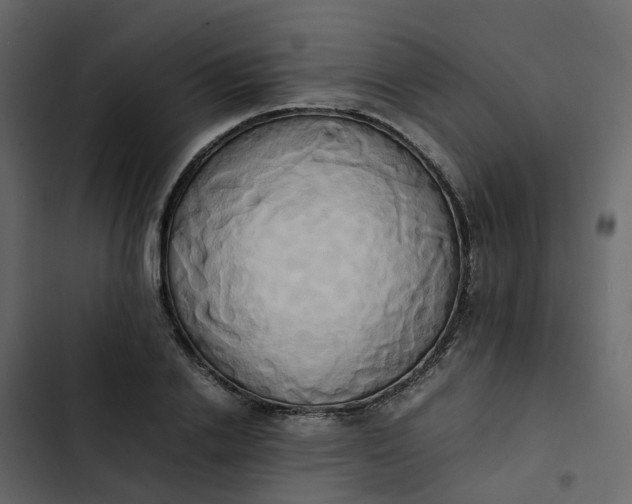 X0000102860838200809021422