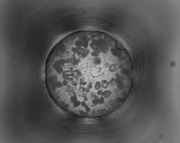 X0000102860839200809021422