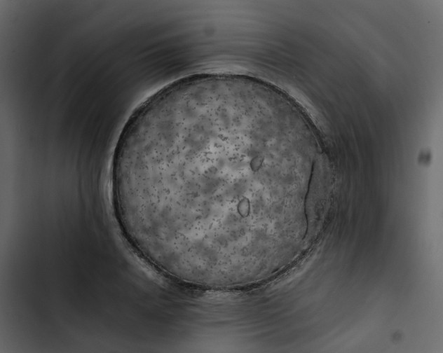 X0000102860840200809021422