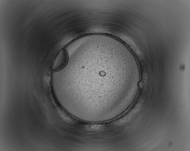 X0000102860841200809021422