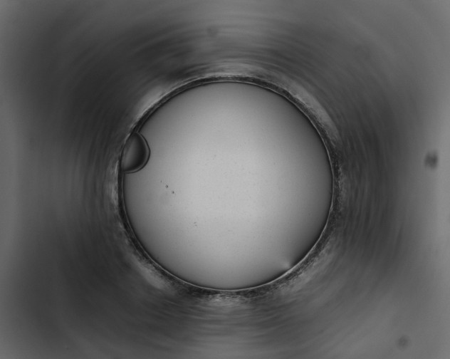 X0000102860842200809021422