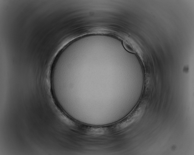 X0000102860843200809021422