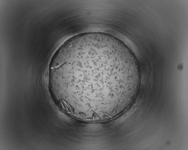 X0000102860844200809021422