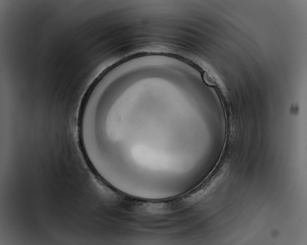 X0000102860845200809021422