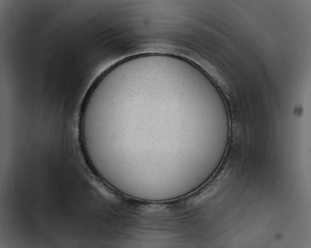 X0000102860846200809021422