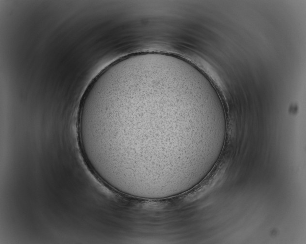 X0000102860847200809021422